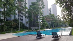 hundred-trees photo thumbnail #3